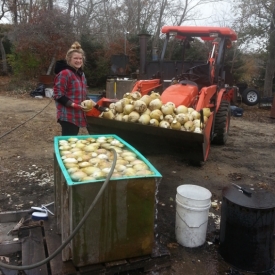 Robyn with Eastham Turnips