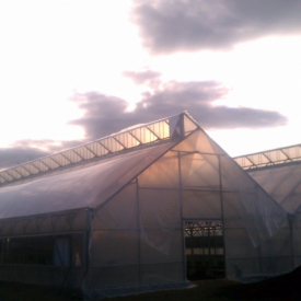NC greenhouses